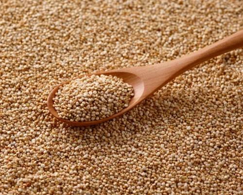 Quinoa Seeds